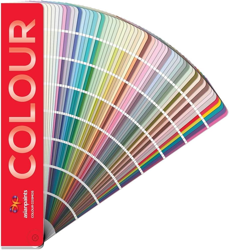 mushroom lime wash texture paint in india kolor canvas